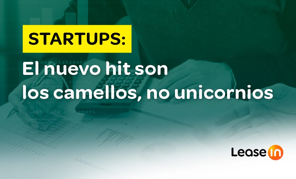 Startups: El nuevo hit son los camellos, no unicornios