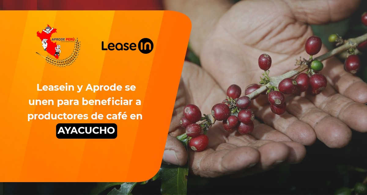 Leasein y Aprode se unen para beneficiar a productores de café en Ayacucho